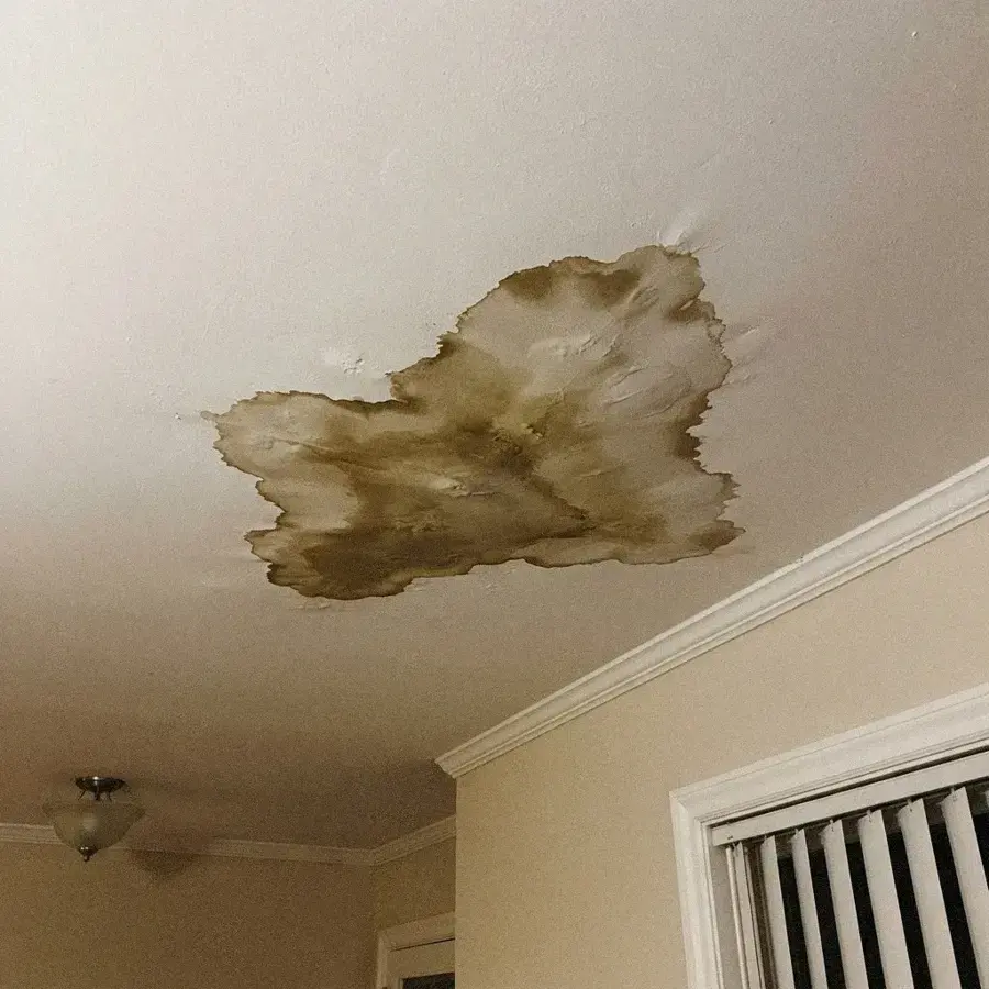 Brown roof leak stain spreading across a bedroom ceiling in a Florida home